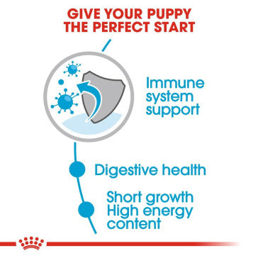 ROYAL CANIN Medium Puppy