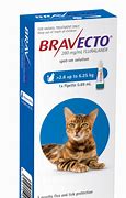 Bravecto for CATS 2,8 - 6,25kg