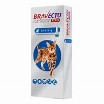 Bravecto Plus for CATS 2,8 - 6,25kg