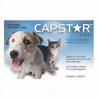 Capstar 0,5 - 11kg