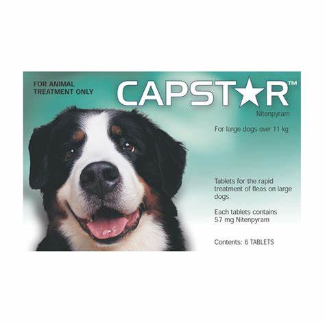 Capstar 0,5 - 11kg