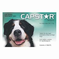 Capstar 11 - 57kg