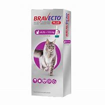 Bravecto Plus for CATS 6,25 - 12.5kg