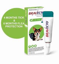 Bravecto 10 - 20kg