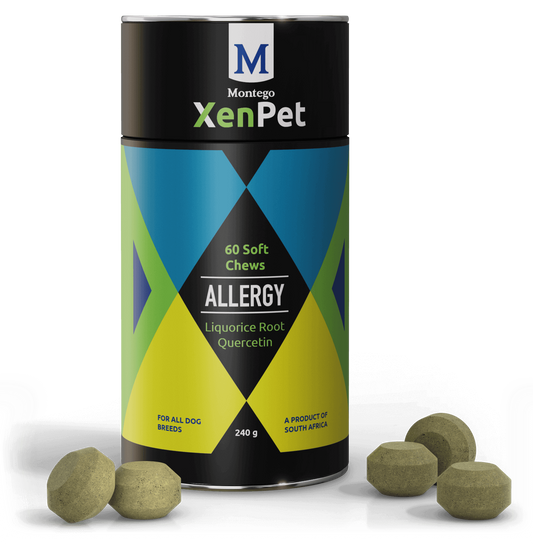 Montego XenPet Chews Allergy 240g