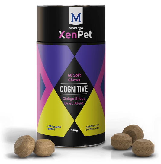 Montego XenPet Chews Cognitive 240g