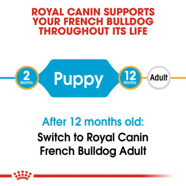 ROYAL CANIN French Bulldog Junior Puppy