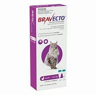 Bravecto for CATS 6,25 - 12.5kg