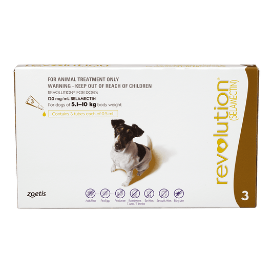 Revolution for DOGS 5.1 - 10kg