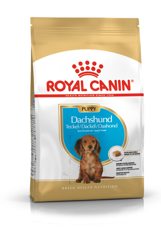 ROYAL CANIN Dachshund Junior Puppy