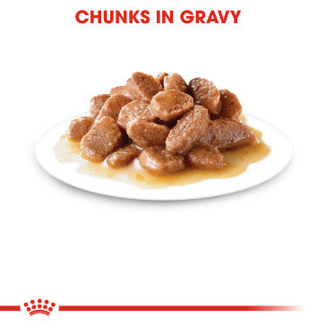 ROYAL CANIN Wet Instinctive Chunks In Gravy